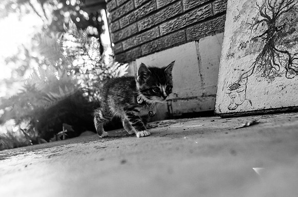 DSC_0644