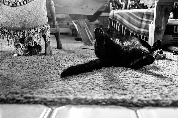 DSC_0778